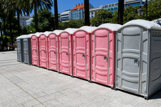 Best Portable Restroom Removal and Pickup in Hahnville, LA